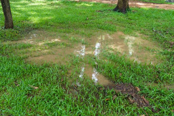 Cost of Storm Water Drainage Service in Cleveland