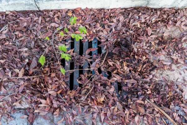 Cost of Yard Drain Unclogging in Cleveland