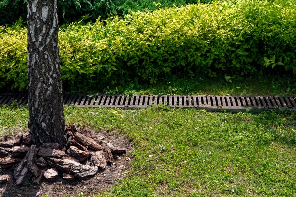 Cost of Wet Yard Drainage in Cleveland
