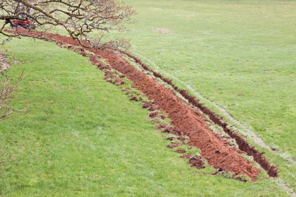 Cost of Swale Installation in Cleveland
