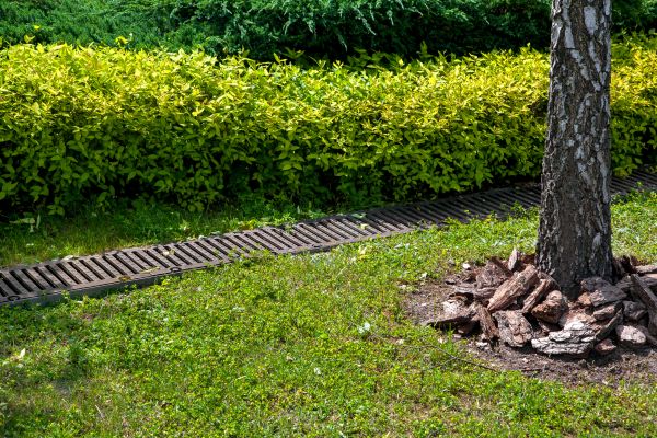Cost of Residential Landscape Drainage in Cleveland