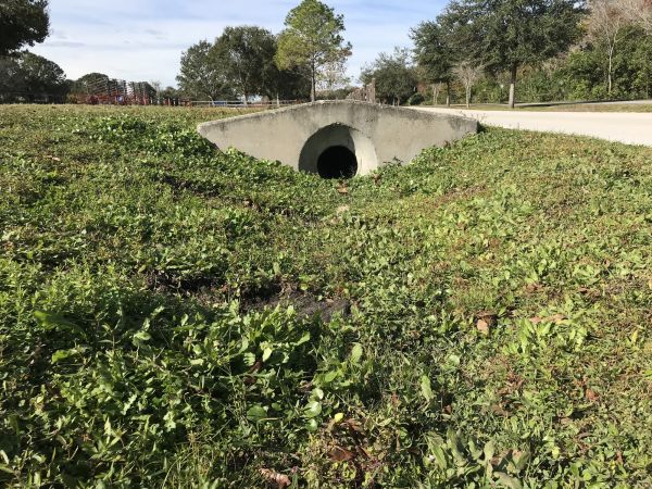 Cost of Swale Drainage Service in Cleveland